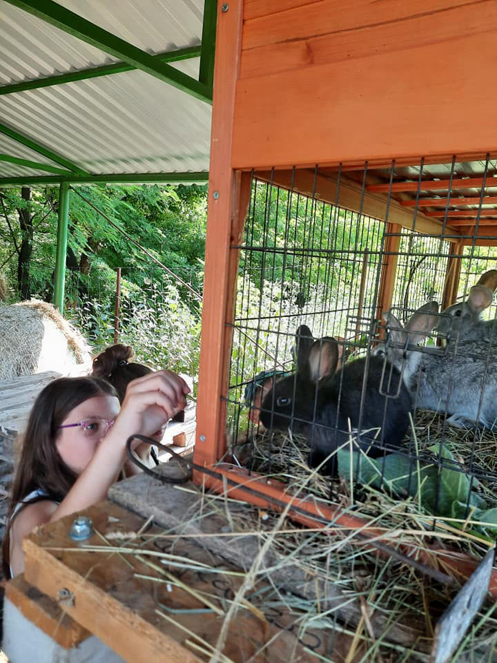 KÖVÉR RANCH-on készült, a helyszínen található állatokat tartalmazó kép