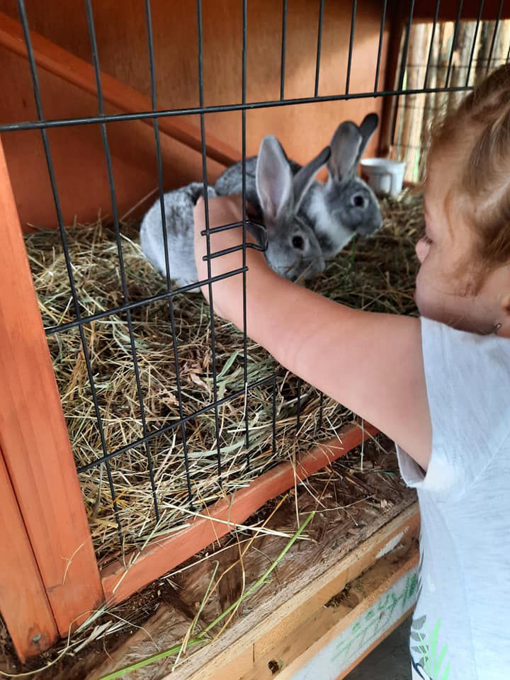 KÖVÉR RANCH-on készült, a helyszínen található állatokat tartalmazó kép