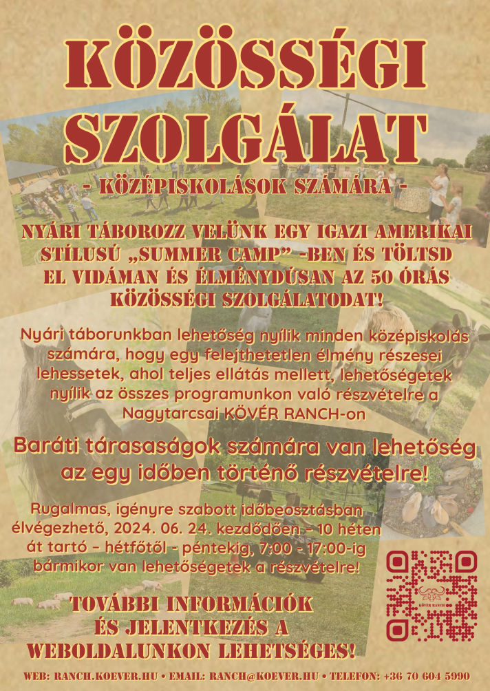 Közösségi Szolgálat felhivás plakát