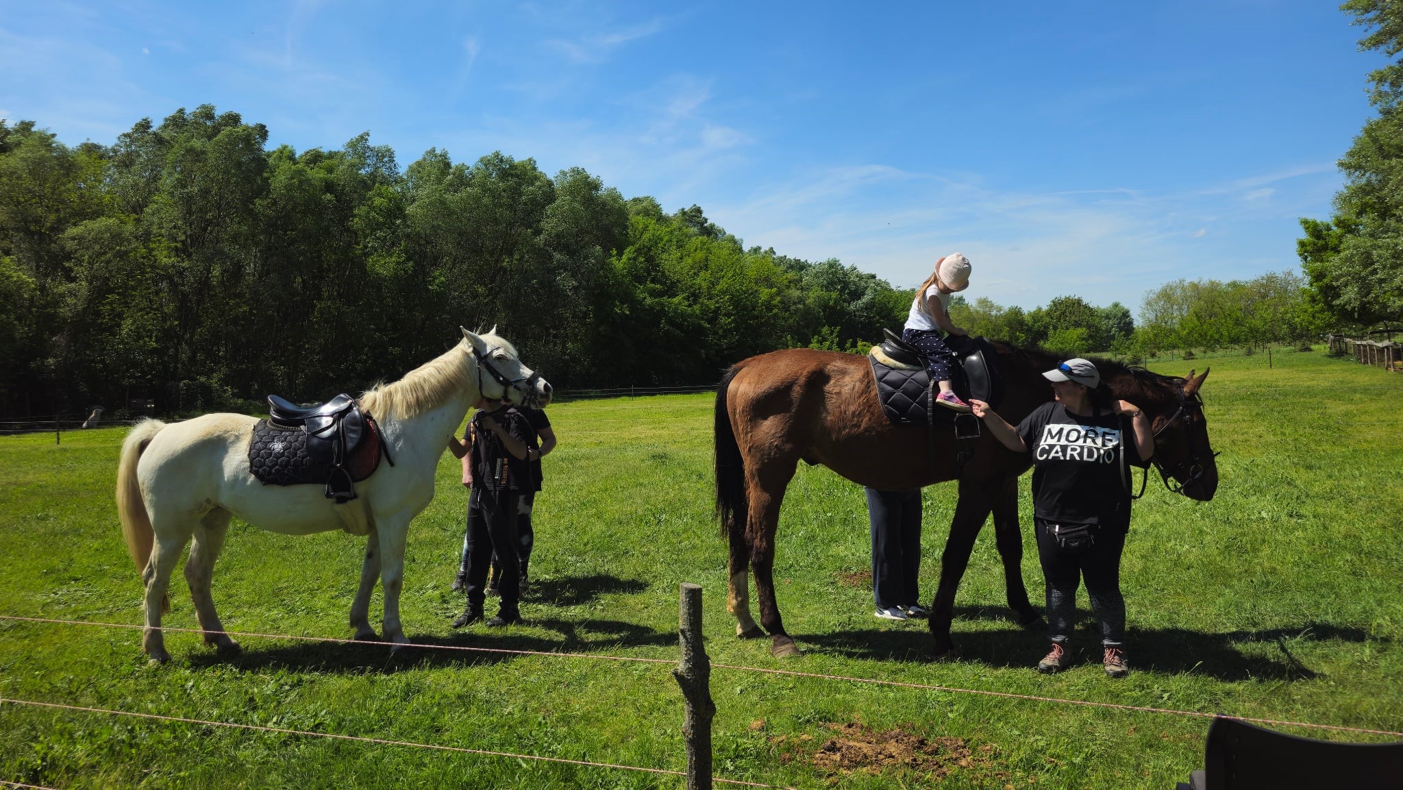 KÖVÉR RANCH-on készült a helyszínt és a programokat bemutató, vendégeket és állatokat tartalmazó kép