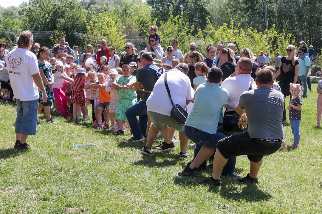 KÖVÉR RANCH-on készült, MAJÁLIS-i rendezvényen alatt, programokat, vendégeket, családokat, állatokat tartalmazó kép
