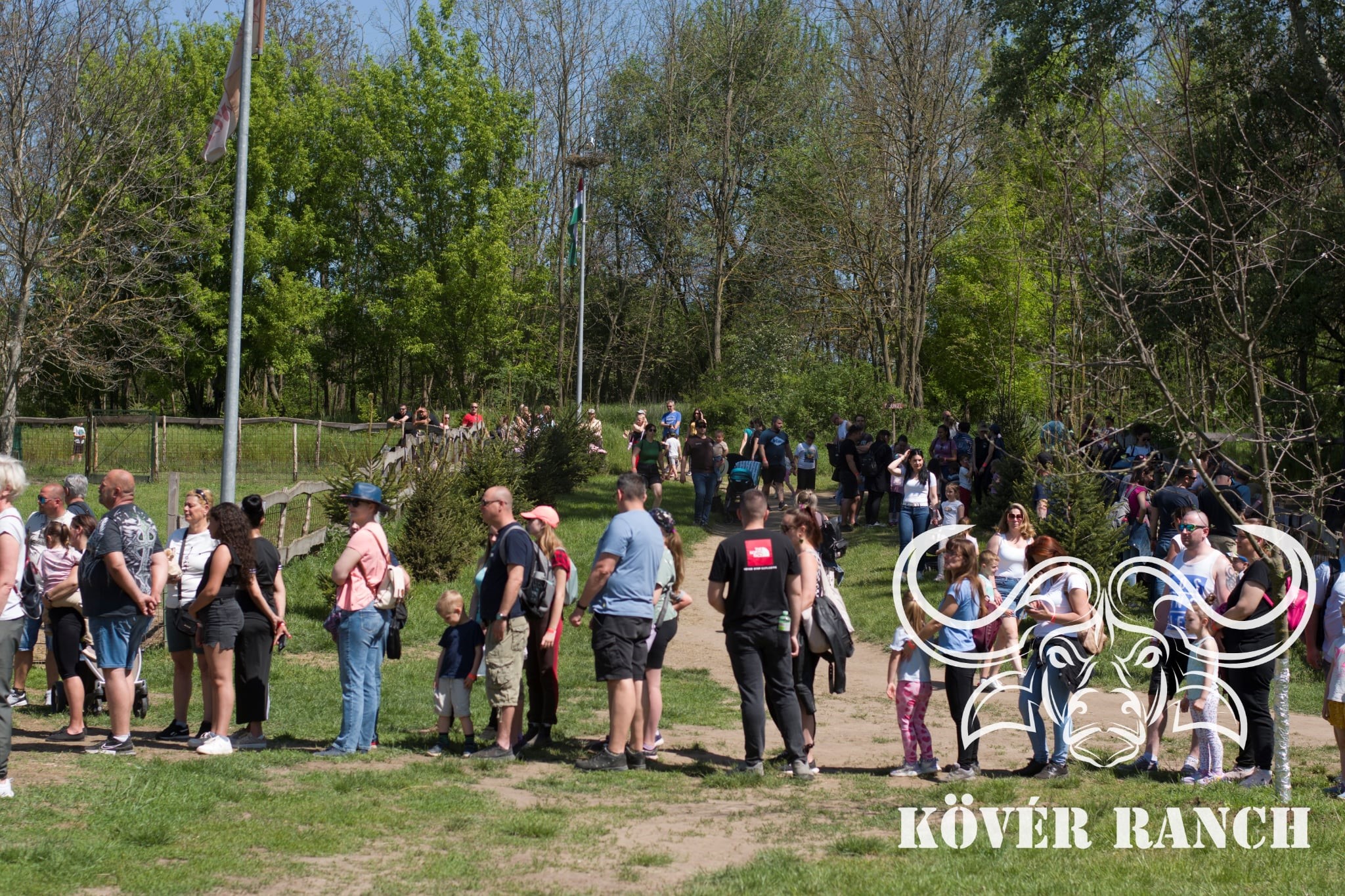 KÖVÉR RANCH-on készült, MAJÁLIS-i rendezvényen alatt, programokat, vendégeket, családokat, állatokat tartalmazó kép
