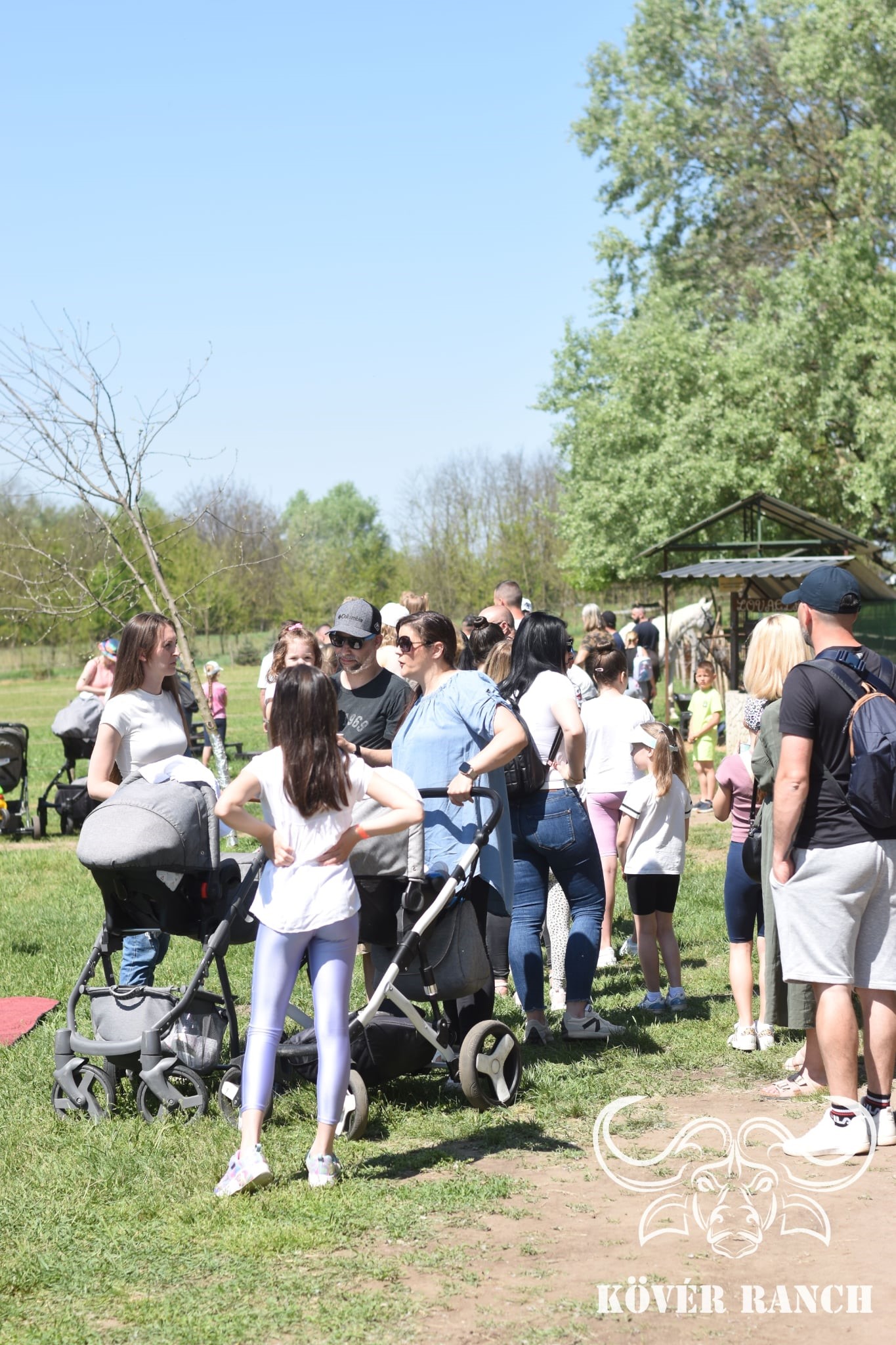 KÖVÉR RANCH-on készült, MAJÁLIS-i rendezvényen alatt, programokat, vendégeket, családokat, állatokat tartalmazó kép